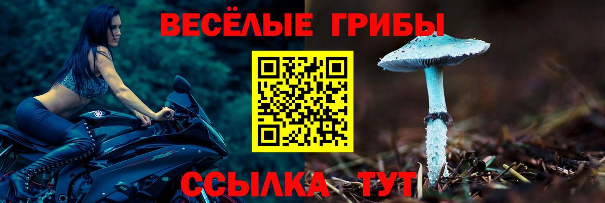 Псилоцибиновые грибы Cubensis Сертолово